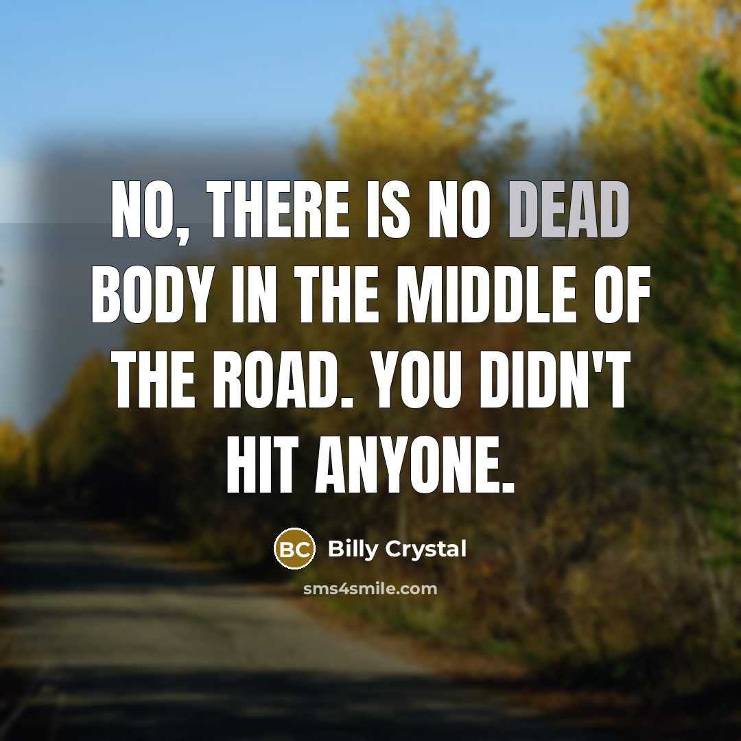 “No, there is no dead body in the middle of the road. You didn't hit anyone.” quote by Billy Crystal