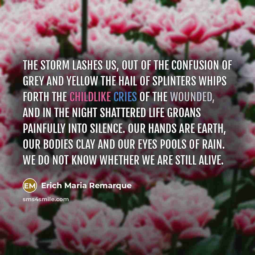 “The storm lashes us, out of the confusion of grey…” quote by Erich Maria Remarque