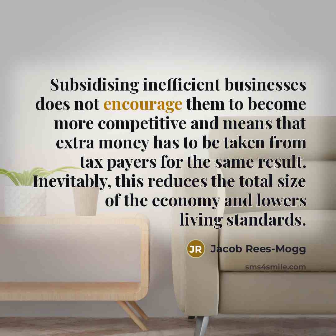 “Subsidising inefficient businesses does not encourage them to become more…” quote by Jacob Rees-Mogg