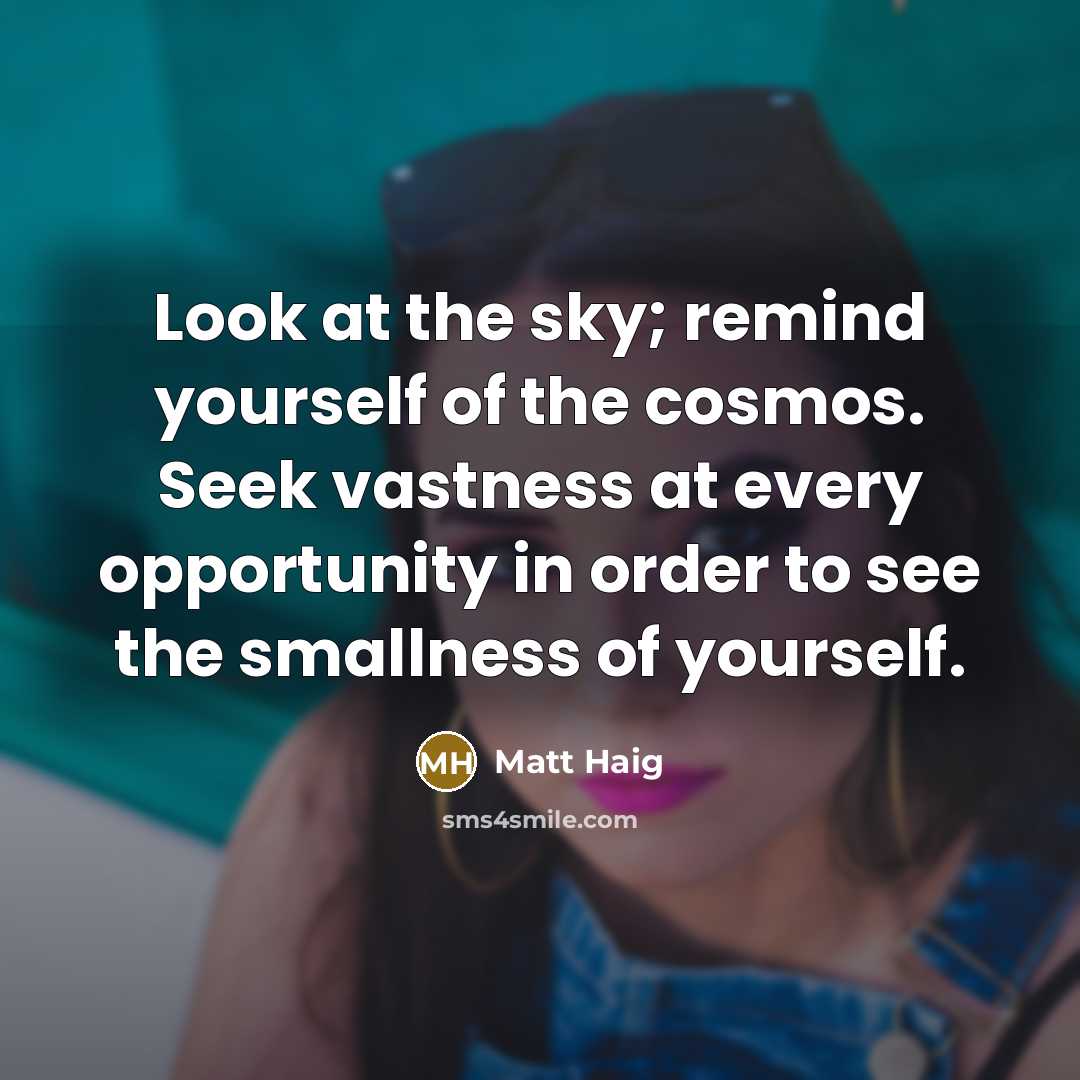 “Look at the sky; remind yourself of the cosmos. Seek…” quote by Matt Haig