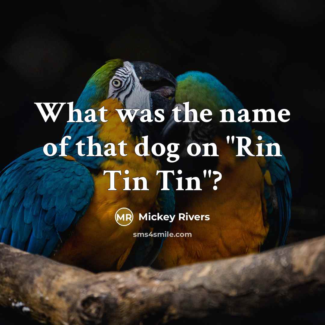 “What was the name of that dog on "Rin Tin Tin"?” quote by Mickey Rivers