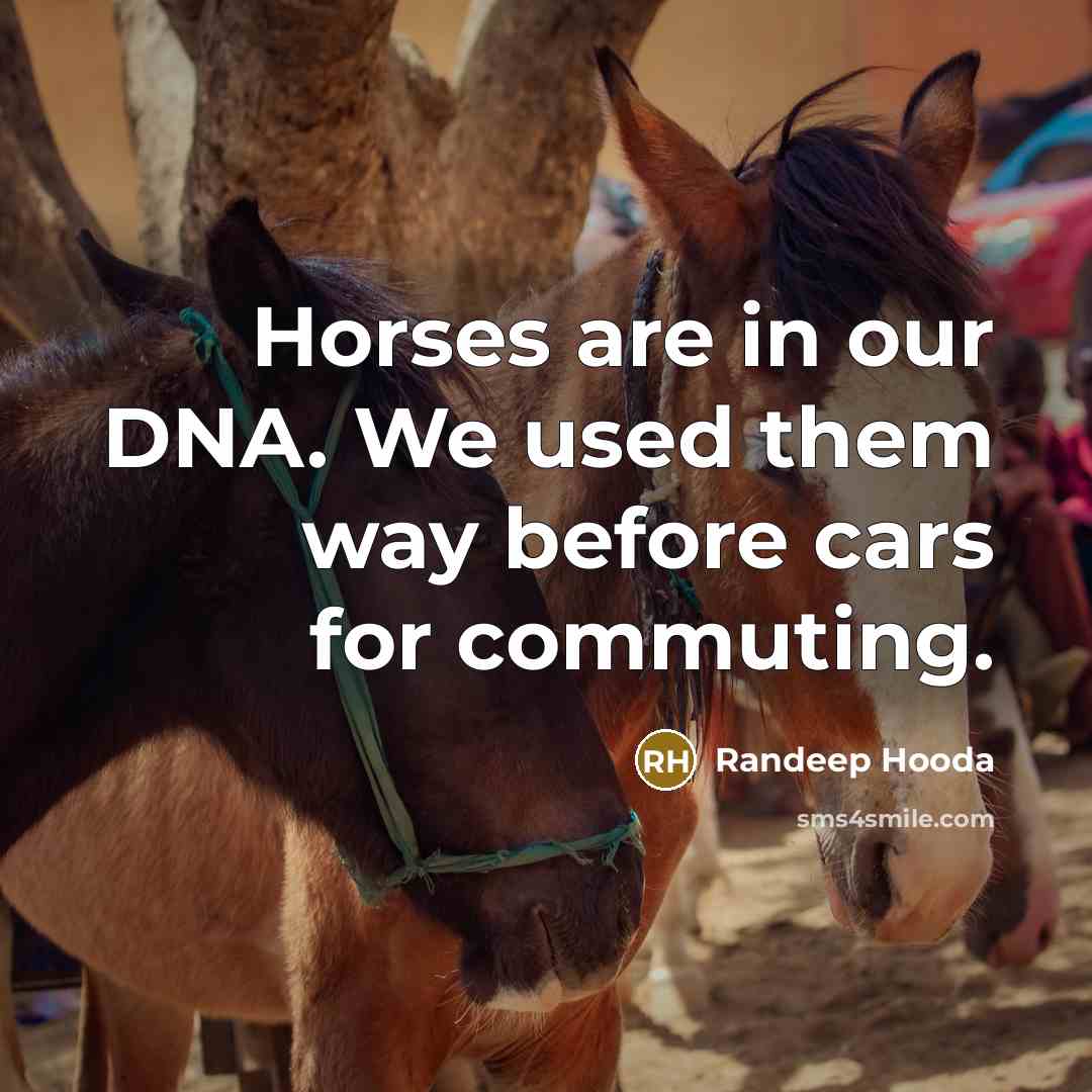 “Horses are in our DNA. We used them way before…” quote by Randeep Hooda