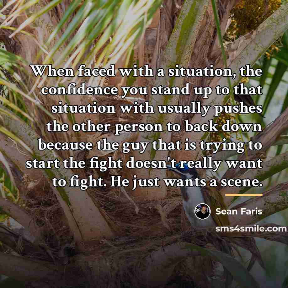 “When faced with a situation, the confidence you stand up…” quote by Sean Faris