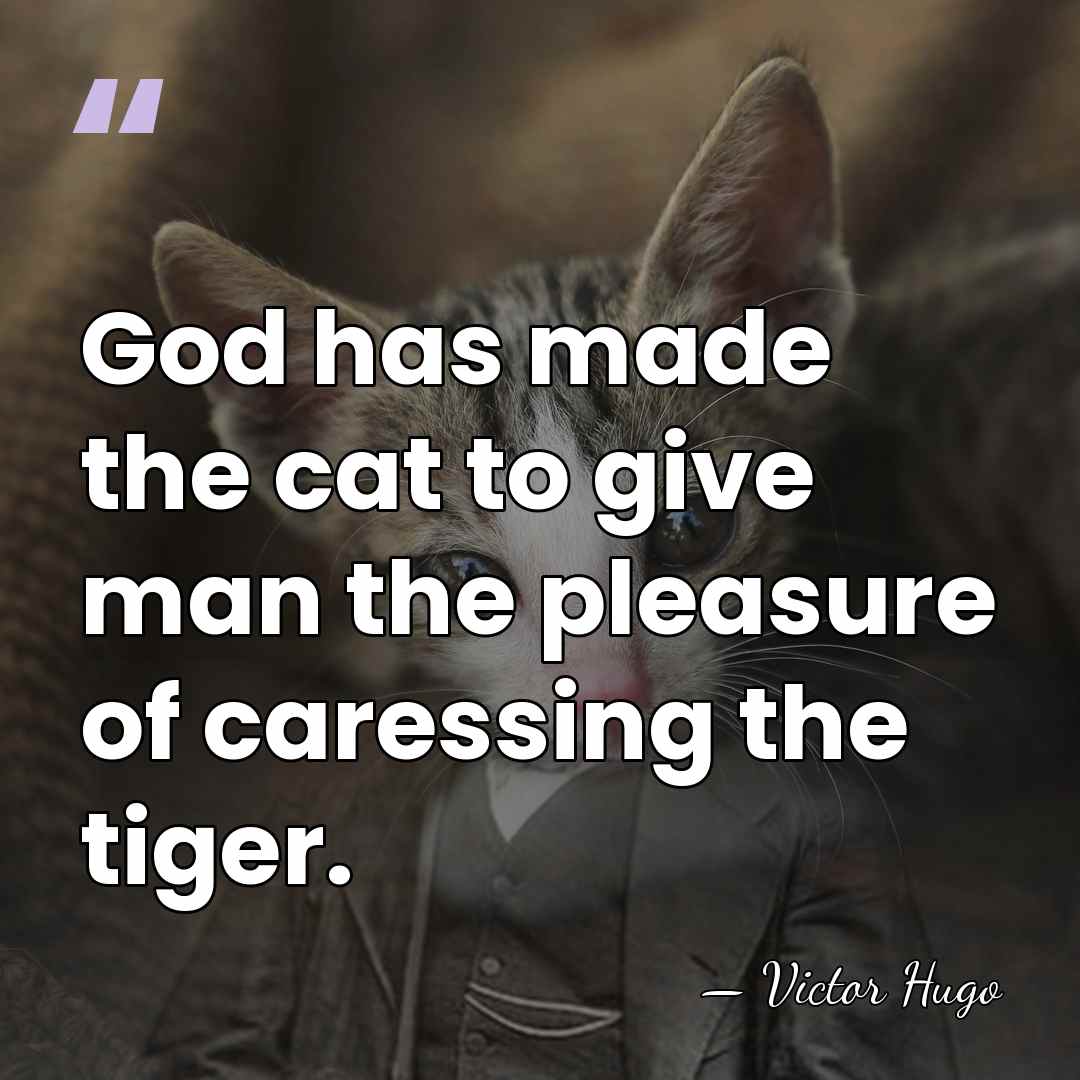 God has made the cat to give man the pleasure of caressing&hellip; - Victor Hugo