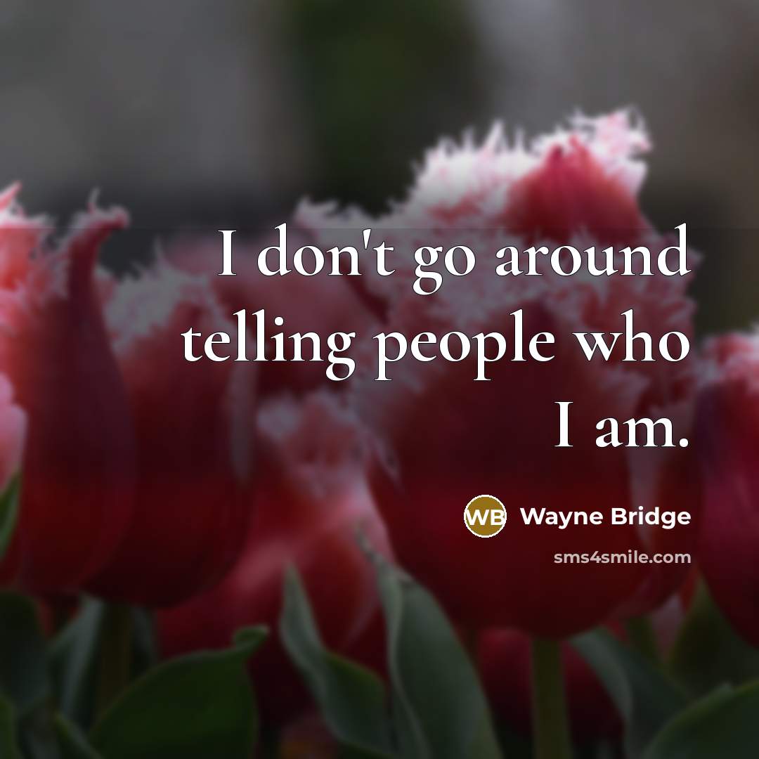 “I don't go around telling people who I am.…” quote by Wayne Bridge