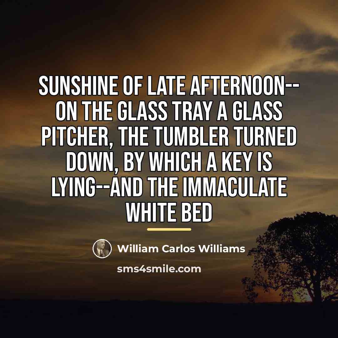“Sunshine of late afternoon-- On the glass tray a glass…” quote by William Carlos Williams