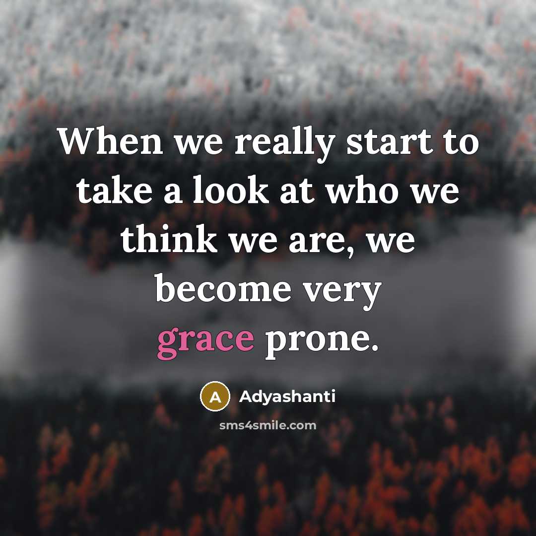 “When we really start to take a look at who…” quote by Adyashanti