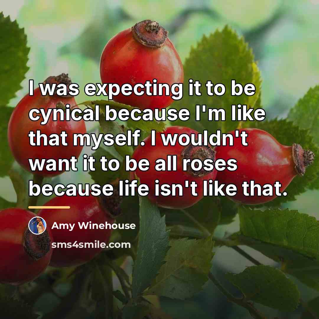 “I was expecting it to be cynical because I'm like…” quote by Amy Winehouse