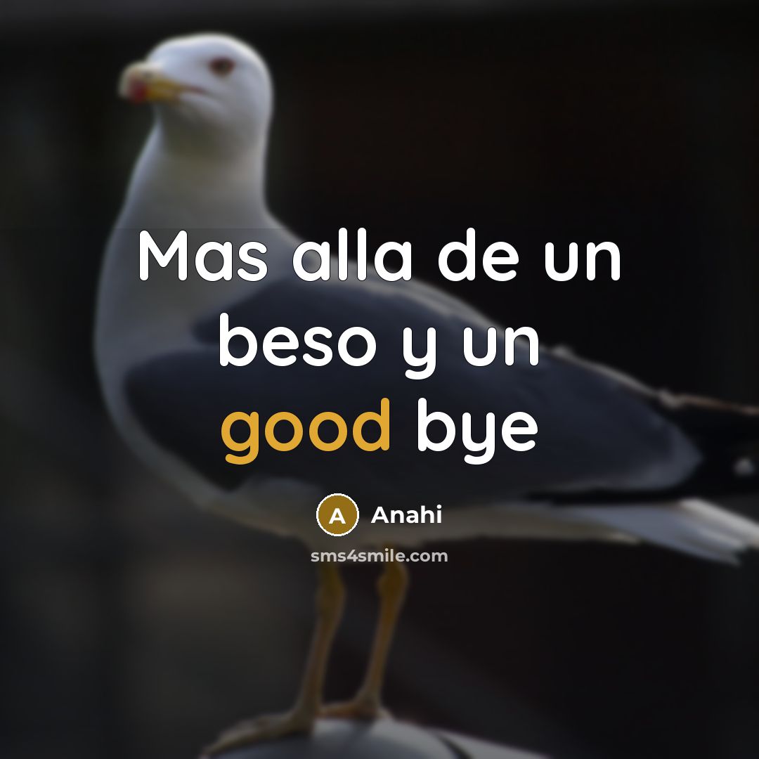 “Mas alla de un beso y un good bye” quote by Anahi