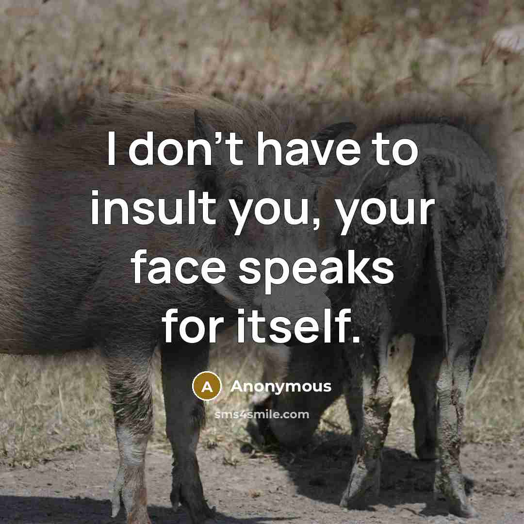“I don't have to insult you, your face speaks for…” quote by Anonymous
