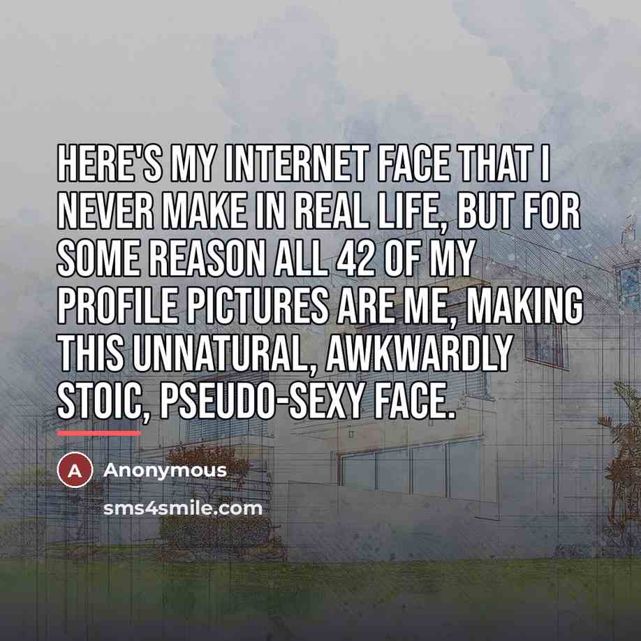 “Here's my internet face that I never make in real…” quote by Anonymous