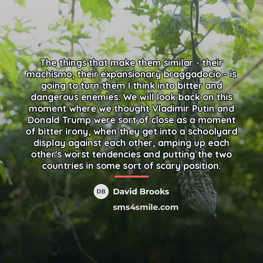 “The things that make them similar - their machismo, their…” quote by David Brooks
