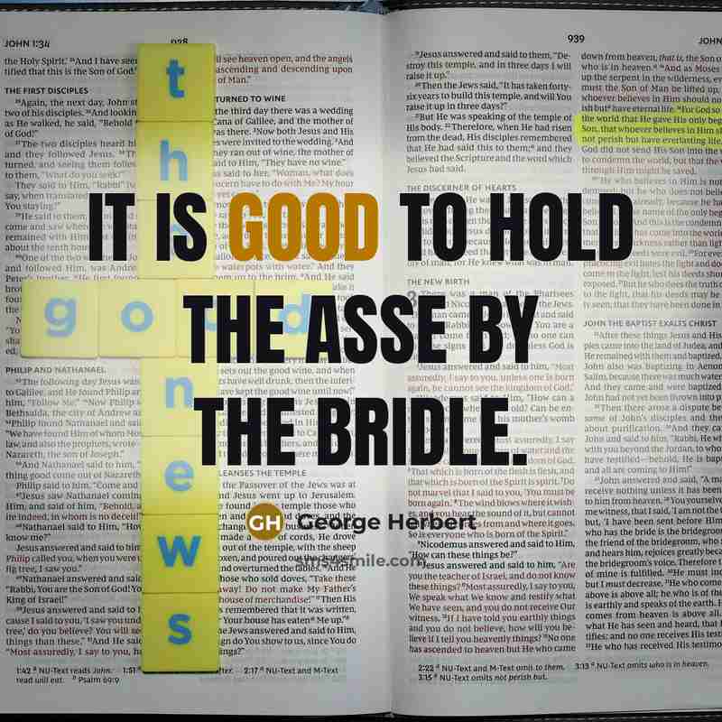 “It is good to hold the asse by the bridle.…” quote by George Herbert