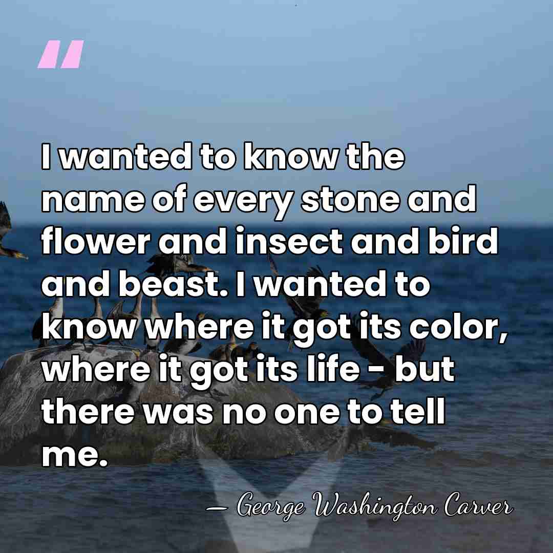 I wanted to know the name of every stone and flower and&hellip; - George Washington Carver