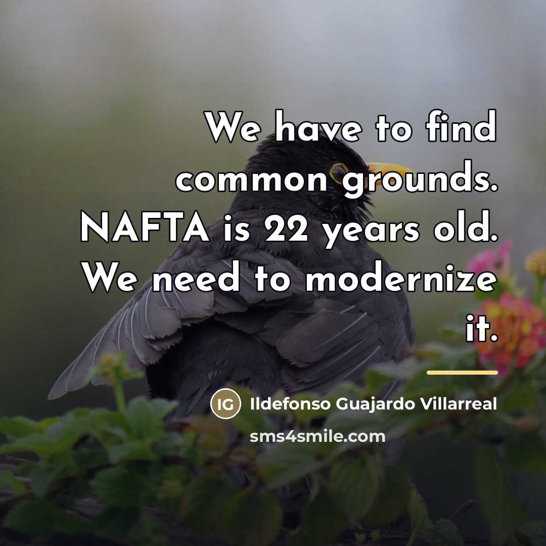 “We have to find common grounds. NAFTA is 22 years…” quote by Ildefonso Guajardo Villarreal