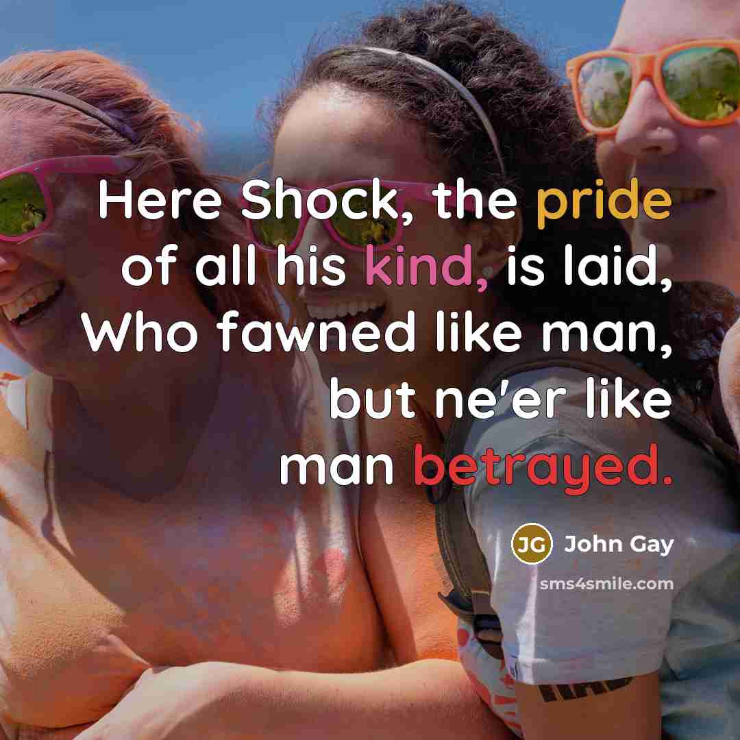 “Here Shock, the pride of all his kind, is laid,…” quote by John Gay