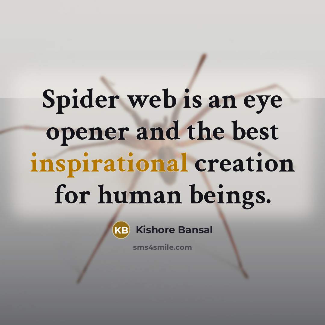 “Spider web is an eye opener and the best inspirational creation for human beings.” quote by Kishore Bansal