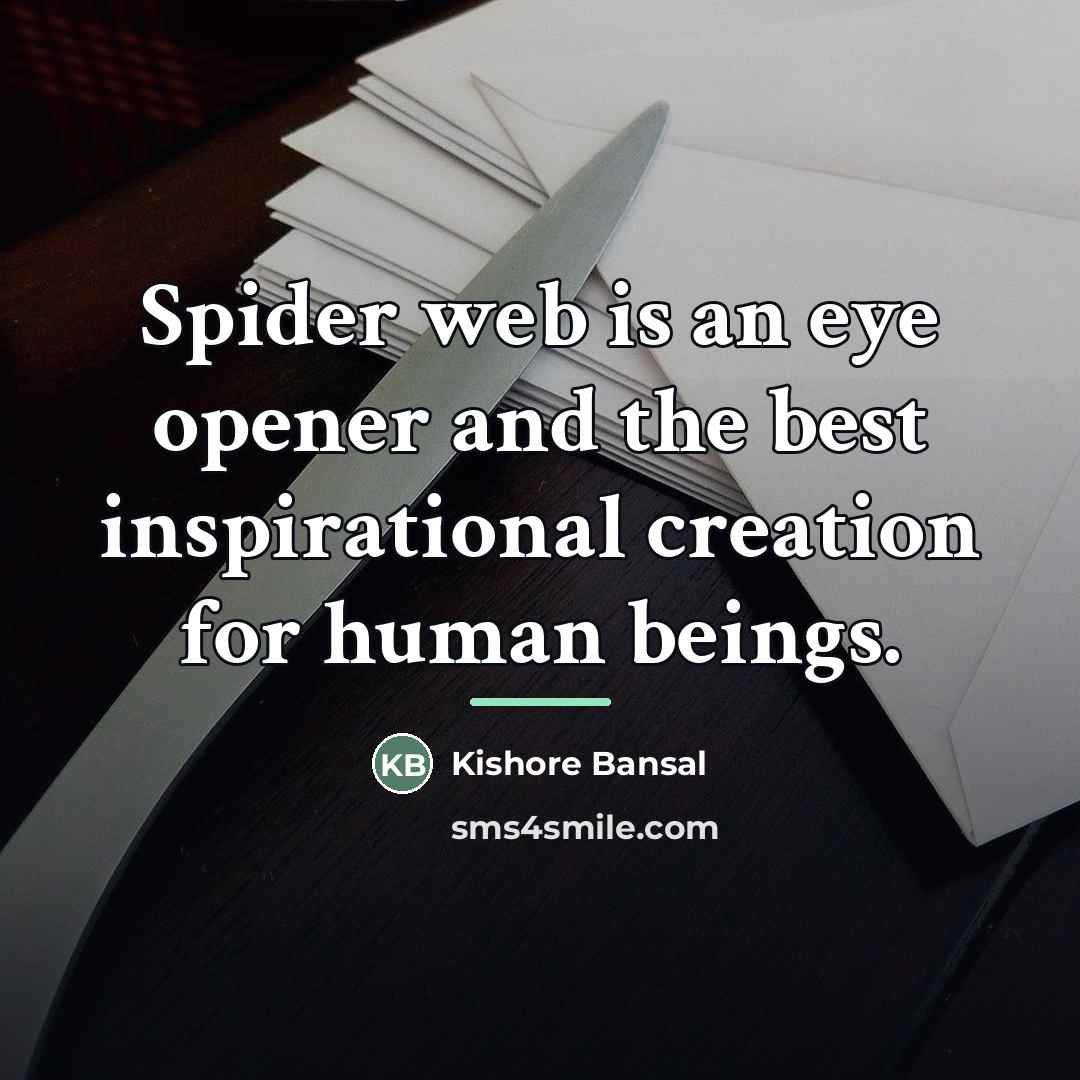 “Spider web is an eye opener and the best inspirational…” quote by Kishore Bansal