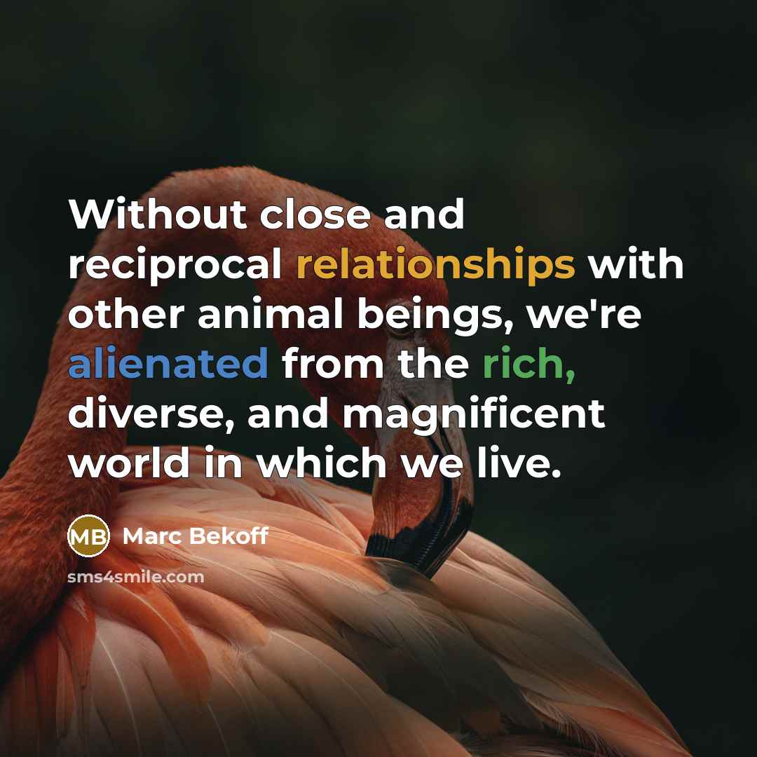 “Without close and reciprocal relationships with other animal beings, we're alienated from the rich, diverse, and magnificent world in which we live.” quote by Marc Bekoff