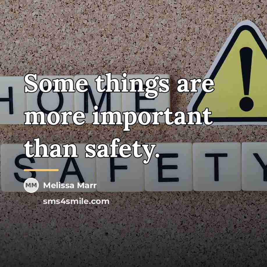 “Some things are more important than safety.…” quote by Melissa Marr