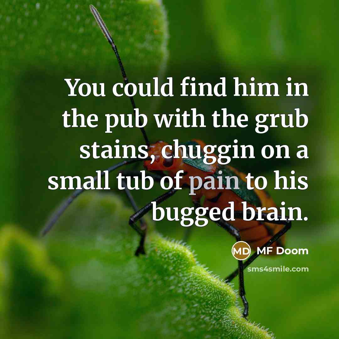 “You could find him in the pub with the grub…” quote by MF Doom