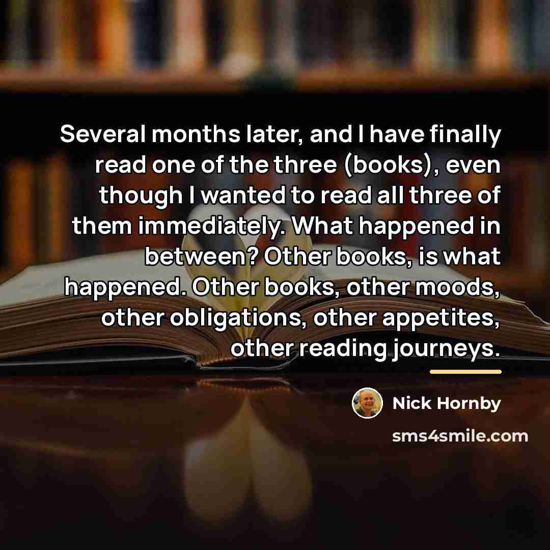 “Several months later, and I have finally read one of…” quote by Nick Hornby