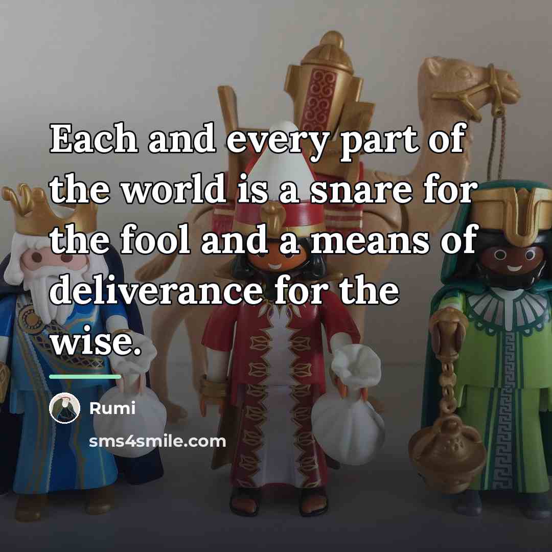 “Each and every part of the world is a snare…” quote by Rumi