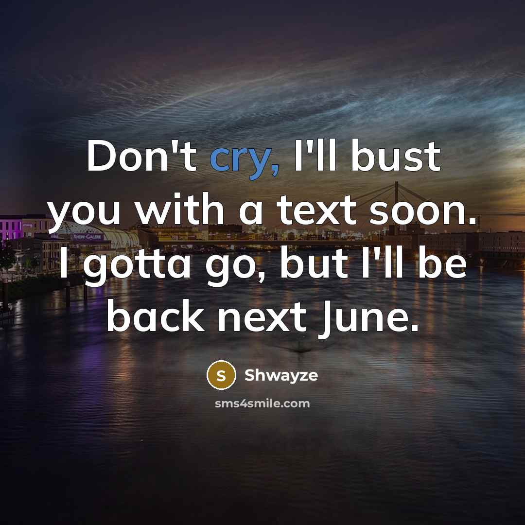 “Don't cry, I'll bust you with a text soon. I gotta go, but I'll be back next June.” quote by Shwayze