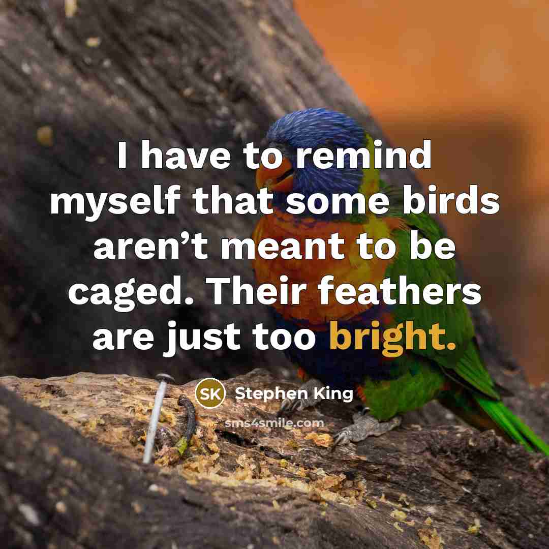 “I have to remind myself that some birds aren’t meant…” quote by Stephen King