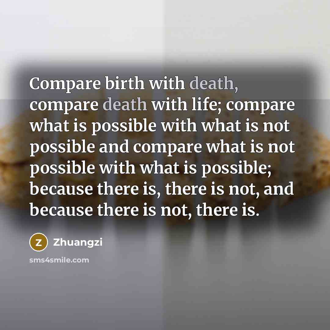 “Compare birth with death, compare death with life; compare what…” quote by Zhuangzi
