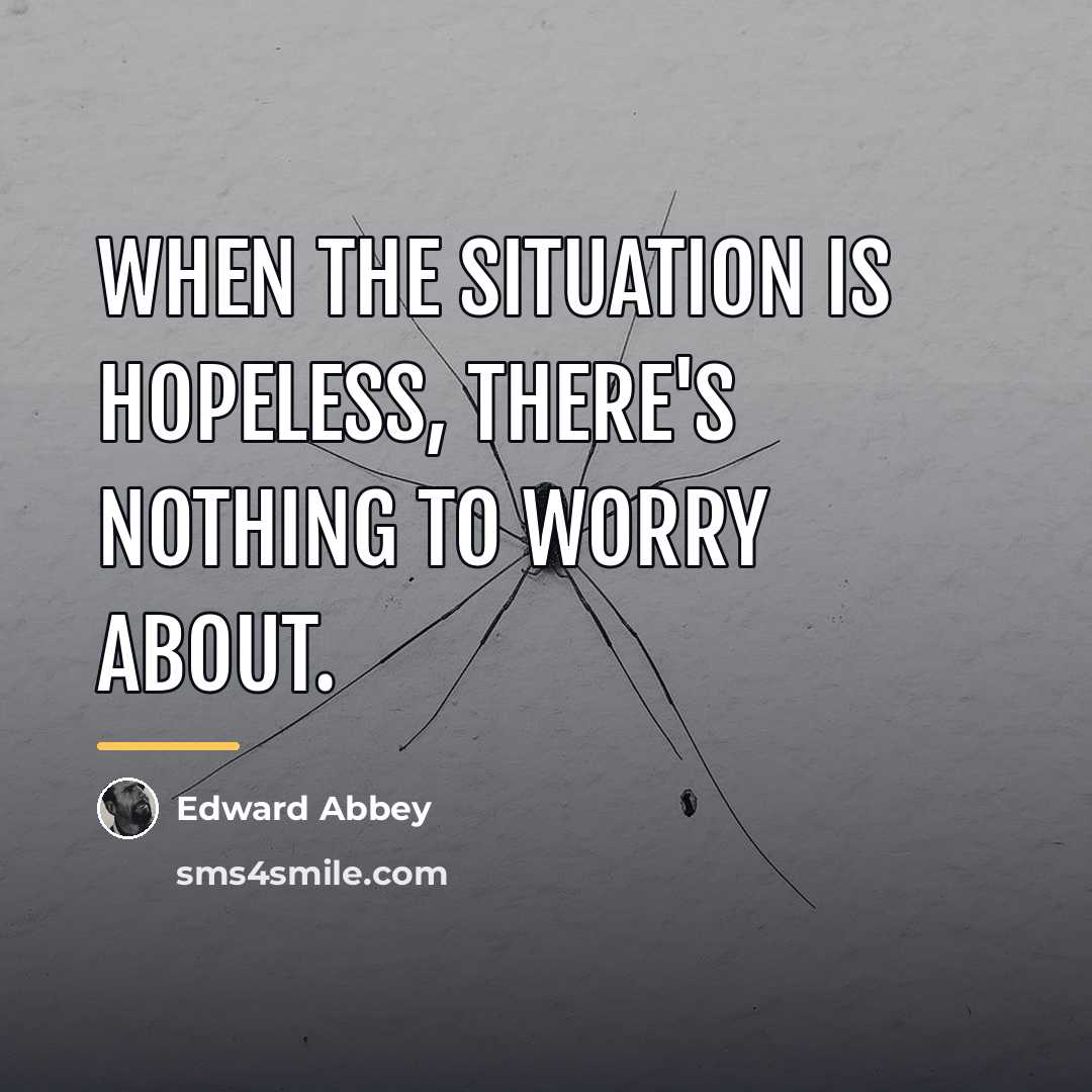 “When the situation is hopeless, there's nothing to worry about.…” quote by Edward Abbey