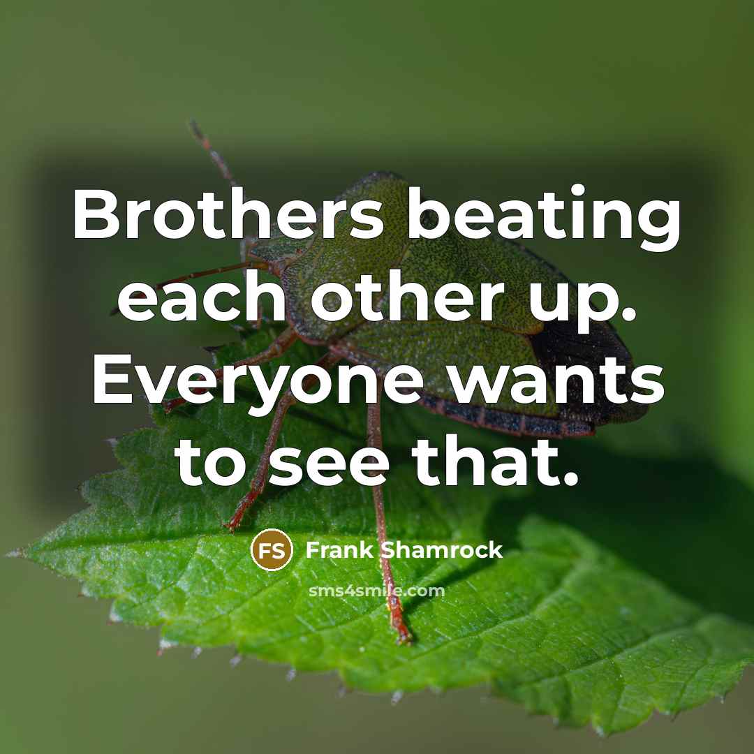 “Brothers beating each other up. Everyone wants to see that.…” quote by Frank Shamrock