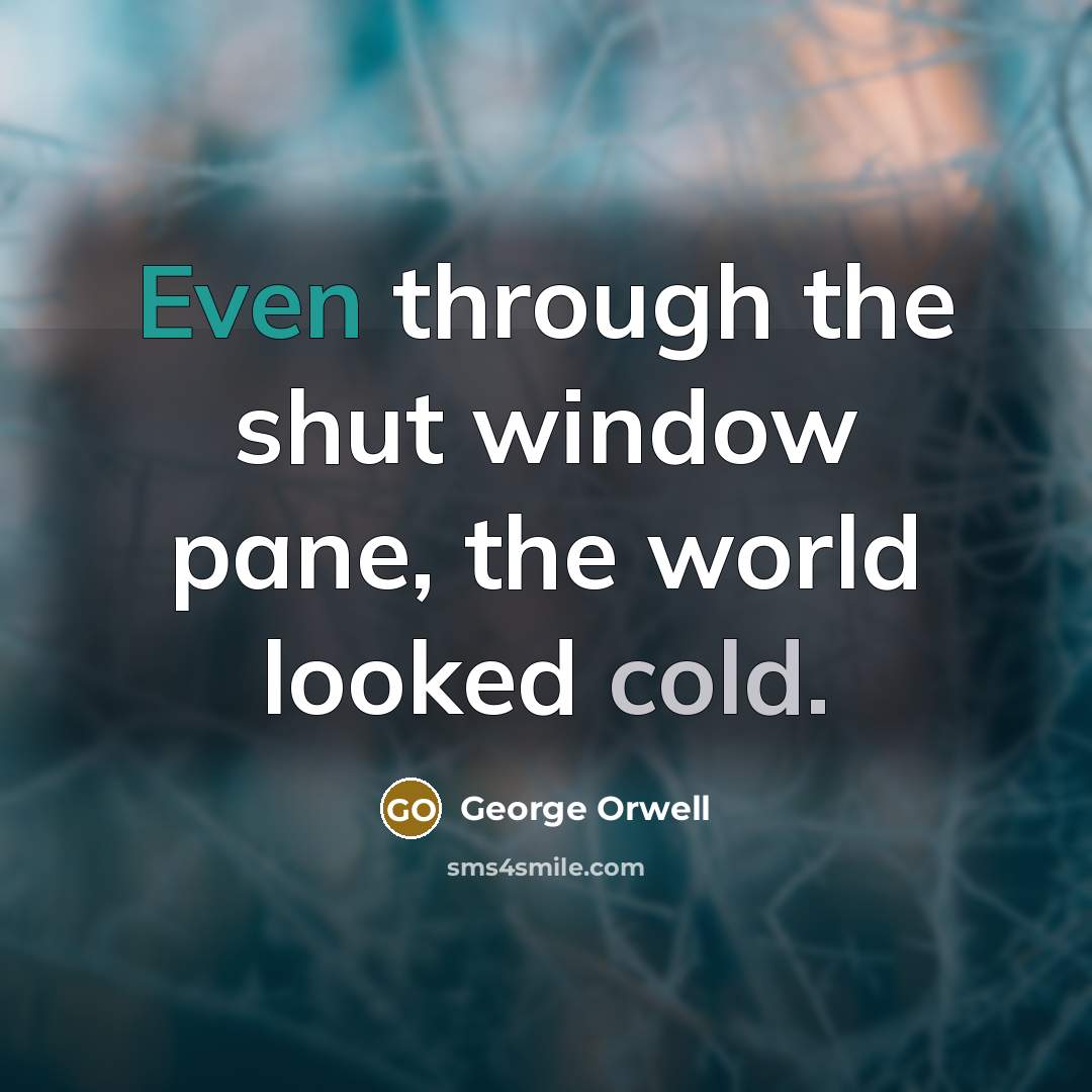 “Even through the shut window pane, the world looked cold.…” quote by George Orwell