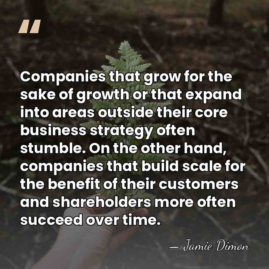 Companies that grow for the sake of growth or that expand into&hellip; - Jamie Dimon