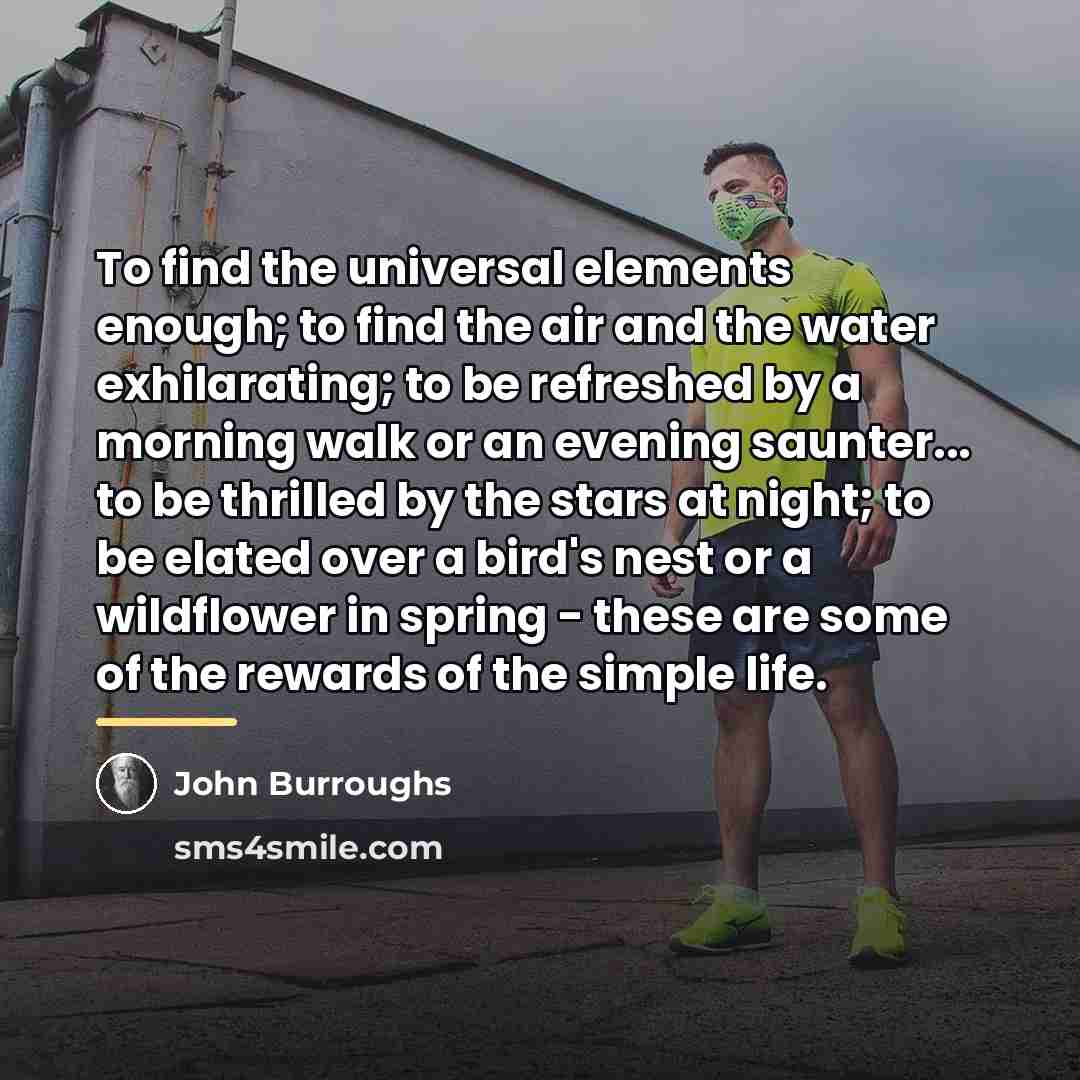 “To find the universal elements enough; to find the air…” quote by John Burroughs