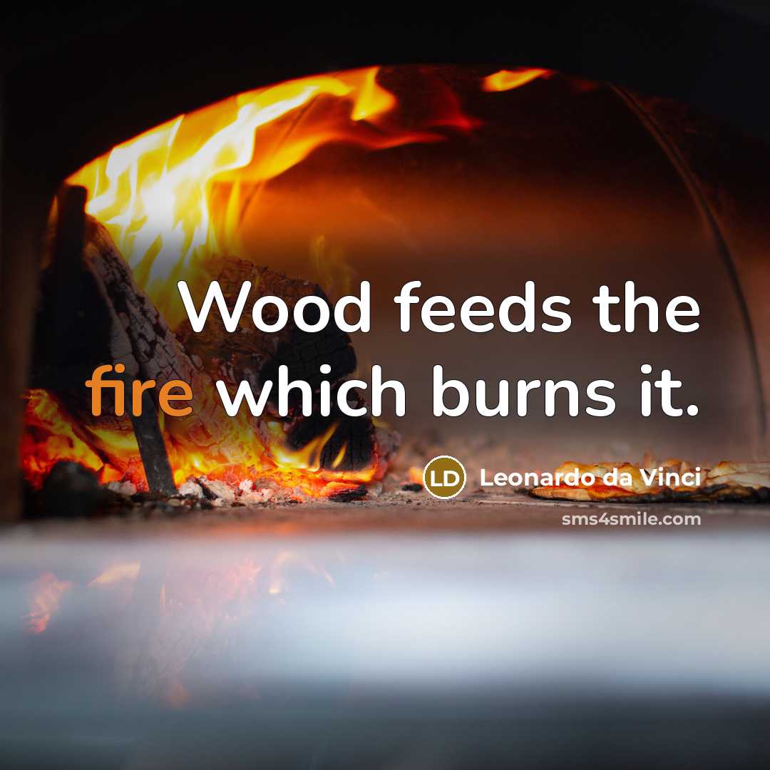 “Wood feeds the fire which burns it.…” quote by Leonardo da Vinci