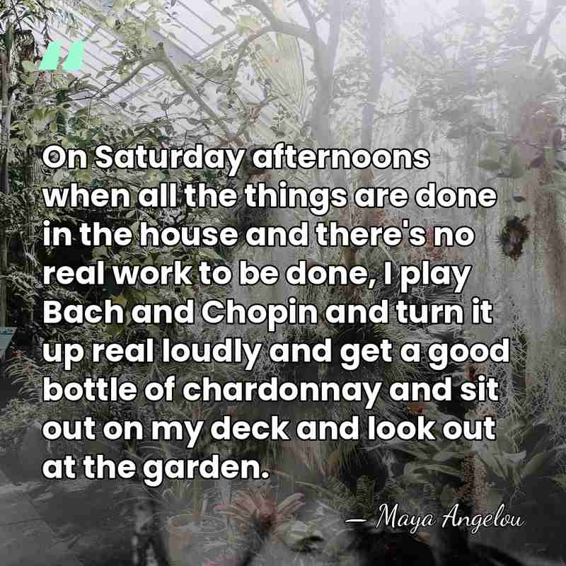 On Saturday afternoons when all the things are done in the house&hellip; - Maya Angelou