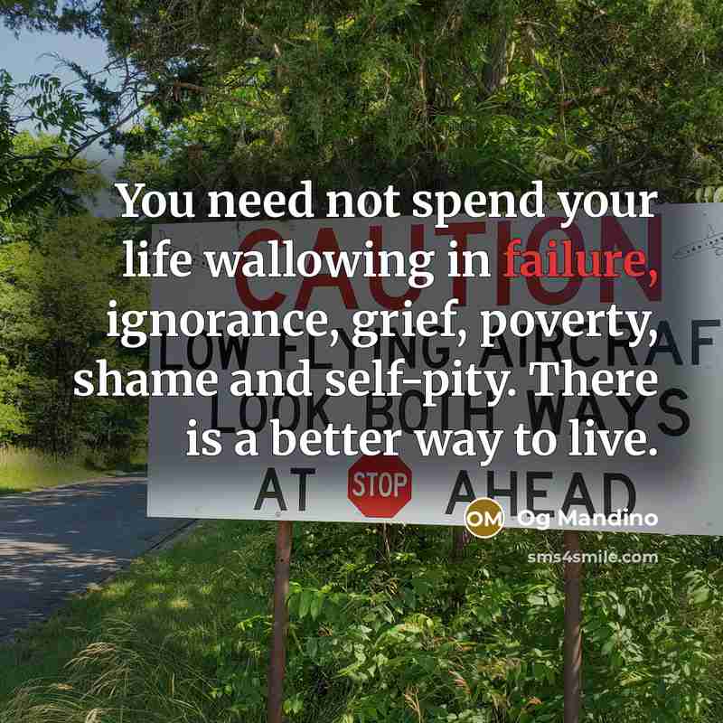 “You need not spend your life wallowing in failure, ignorance,…” quote by Og Mandino