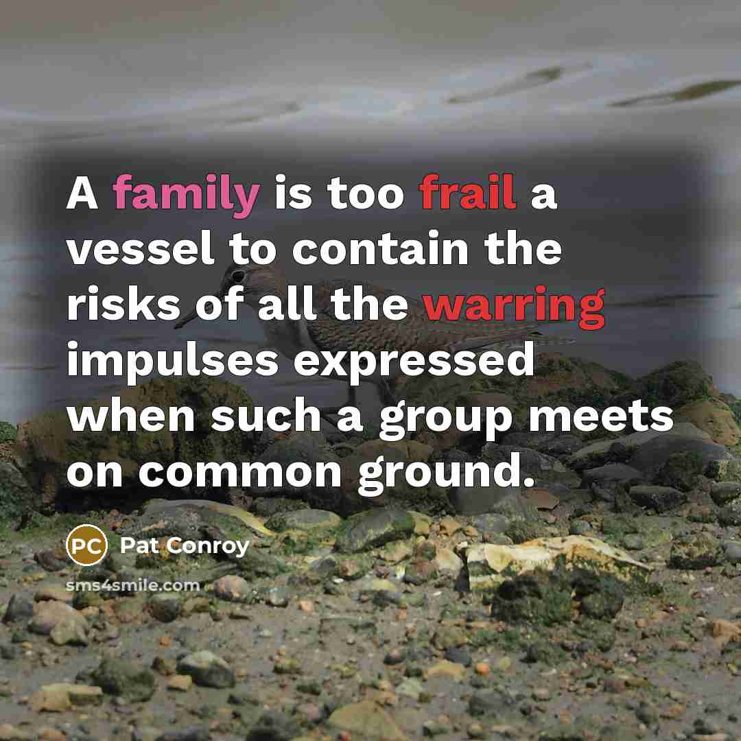 “A family is too frail a vessel to contain the…” quote by Pat Conroy