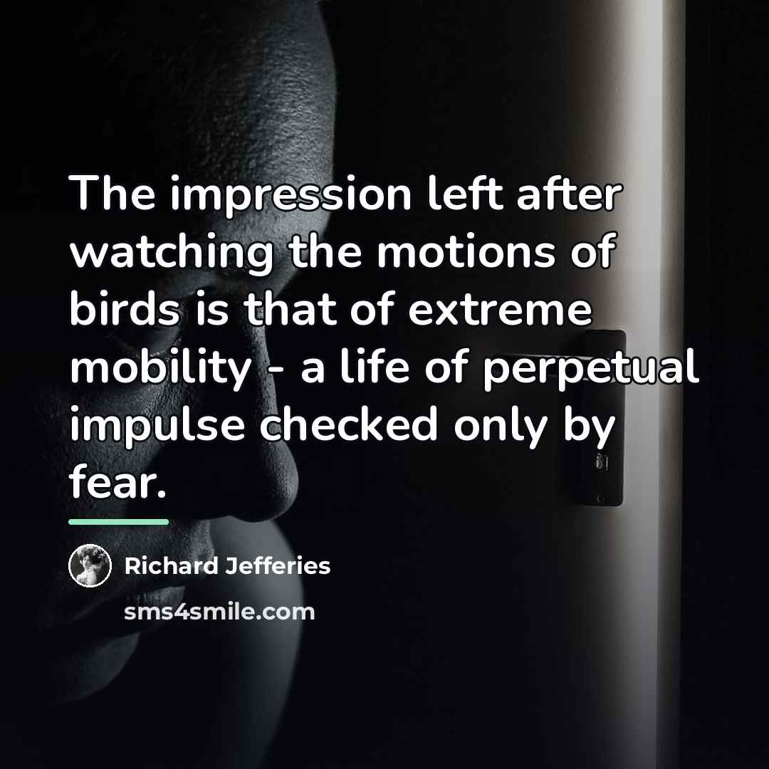 “The impression left after watching the motions of birds is…” quote by Richard Jefferies