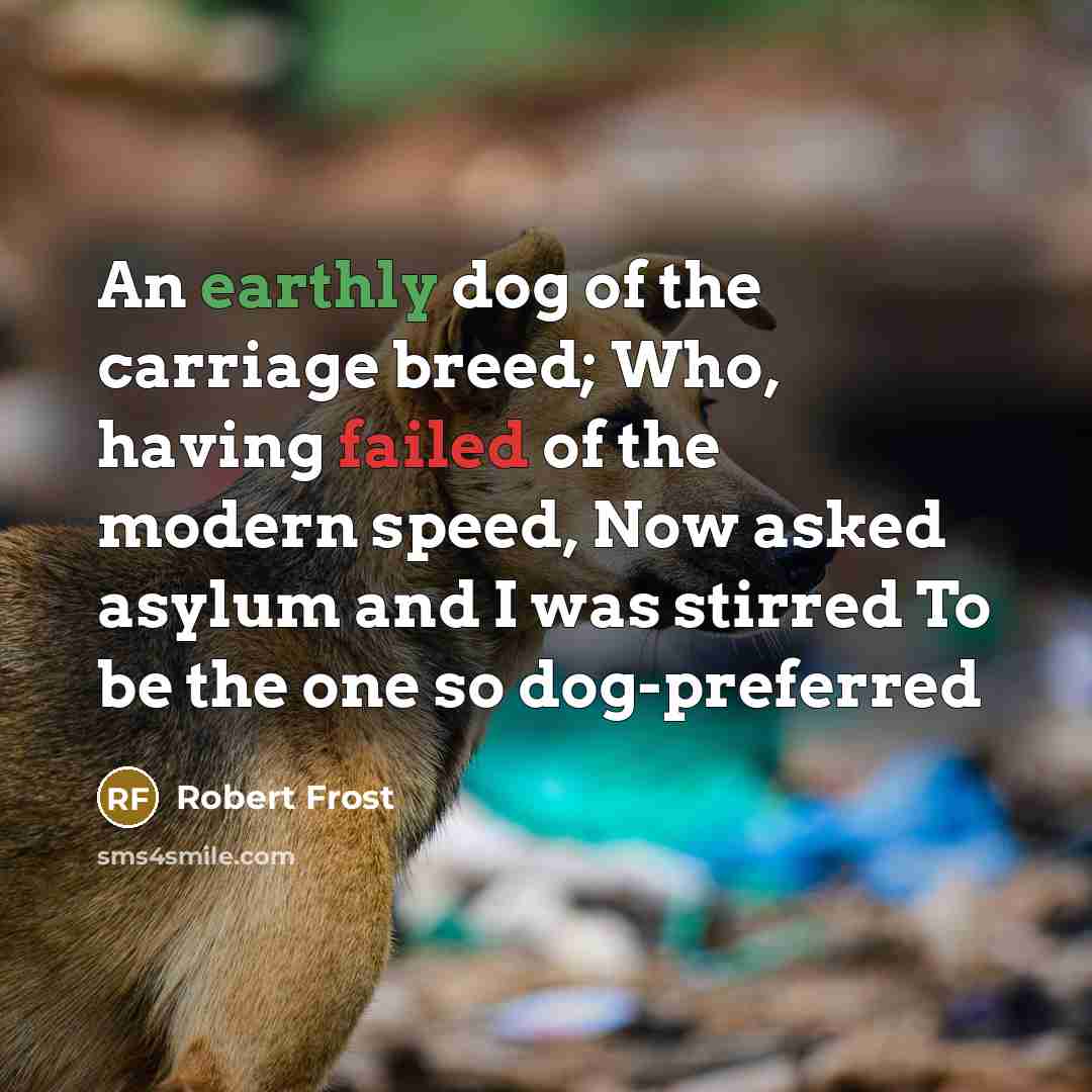 “An earthly dog of the carriage breed; Who, having failed…” quote by Robert Frost