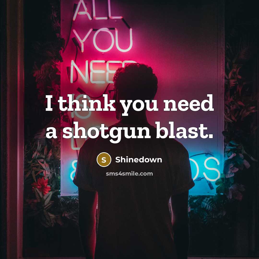 “I think you need a shotgun blast.…” quote by Shinedown