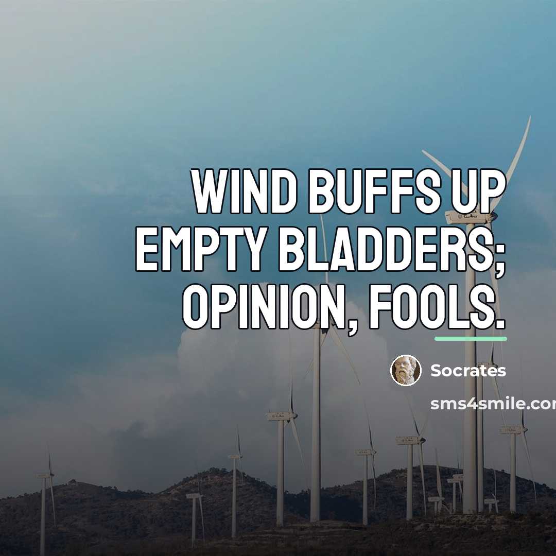 “Wind buffs up empty bladders; opinion, fools.…” quote by Socrates
