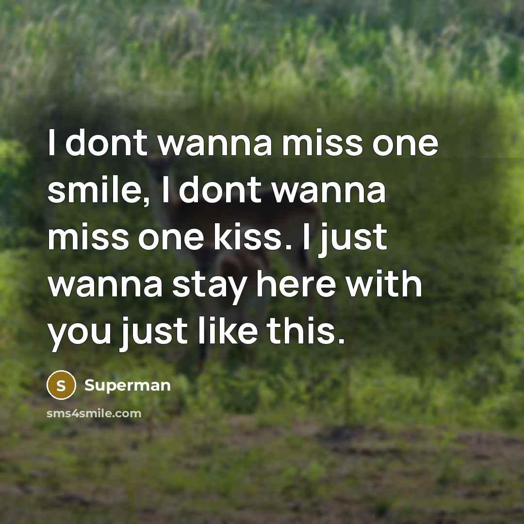 “I dont wanna miss one smile, I dont wanna miss…” quote by Superman