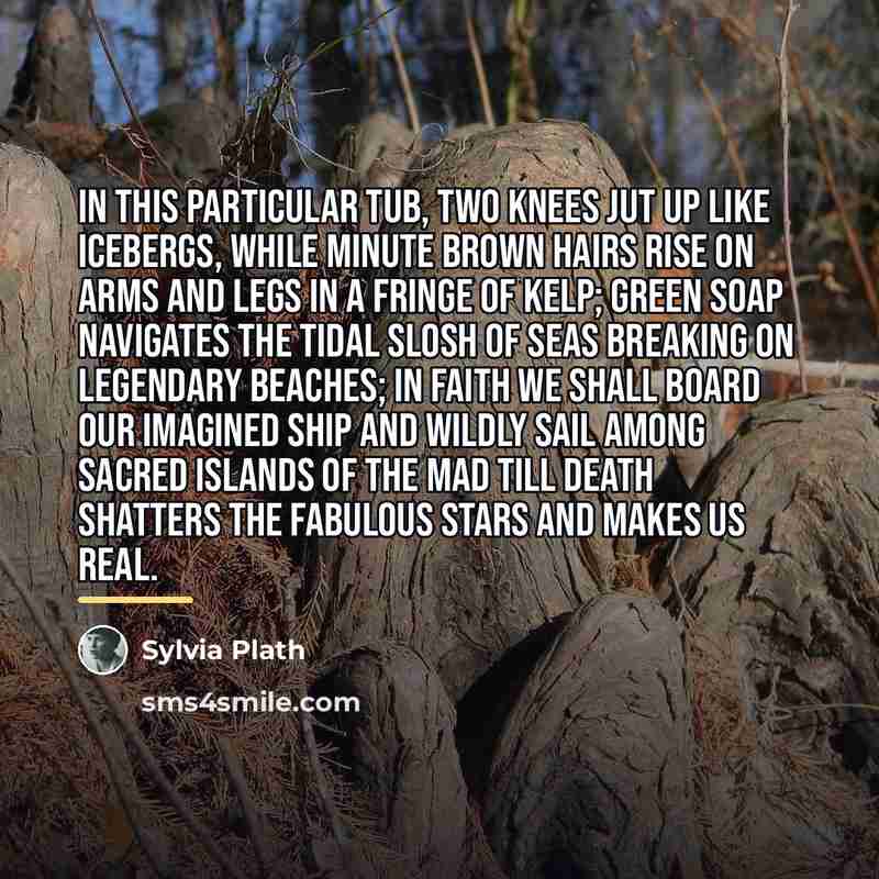 “In this particular tub, two knees jut up like icebergs,…” quote by Sylvia Plath
