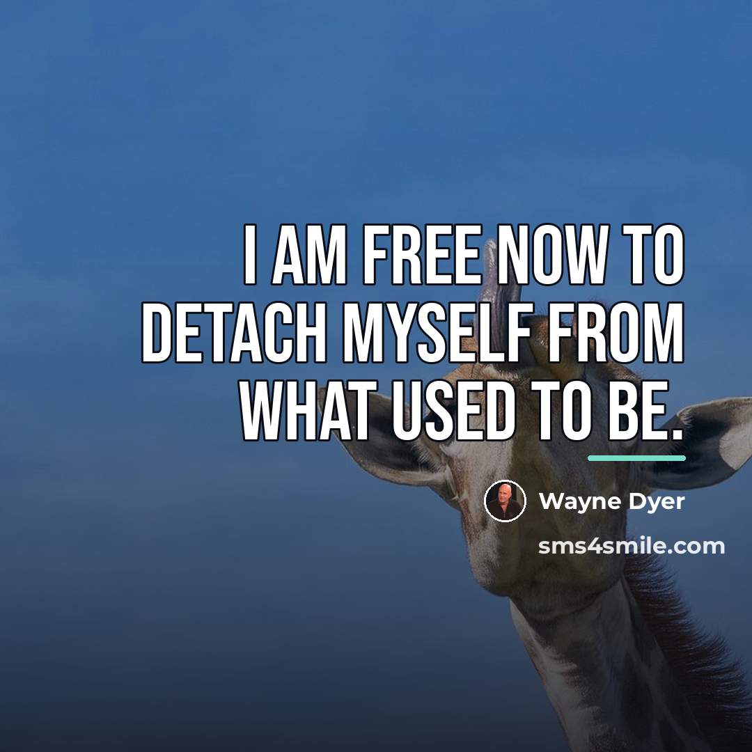 “I am free now to detach myself from what used…” quote by Wayne Dyer