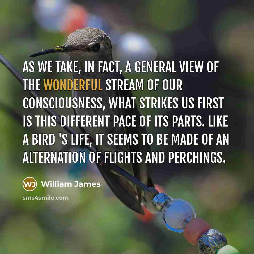 “As we take, in fact, a general view of the…” quote by William James