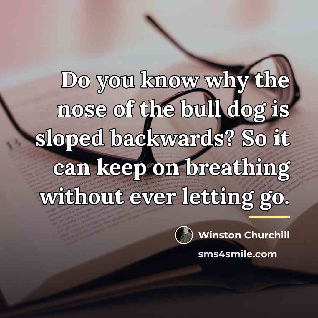 “Do you know why the nose of the bull dog…” quote by Winston Churchill