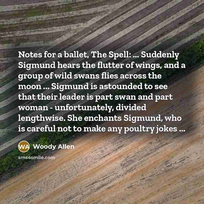 “Notes for a ballet, The Spell: ... Suddenly Sigmund hears…” quote by Woody Allen