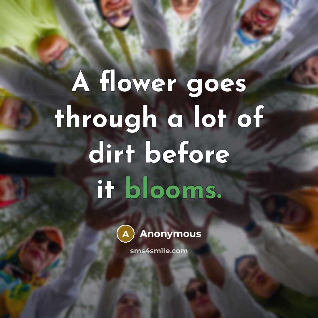 “A flower goes through a lot of dirt before it blooms.” quote by Anonymous